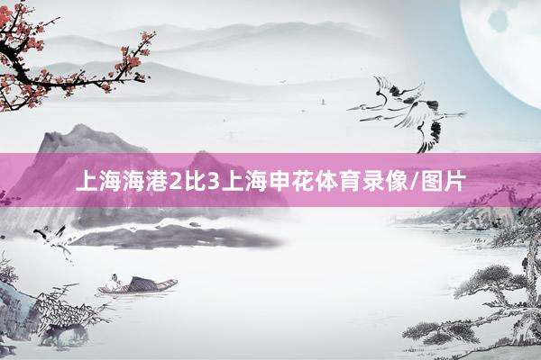 上海海港2比3上海申花体育录像/图片