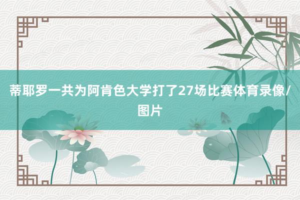 蒂耶罗一共为阿肯色大学打了27场比赛体育录像/图片