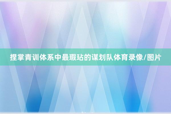 捏掌青训体系中最瑕玷的谋划队体育录像/图片