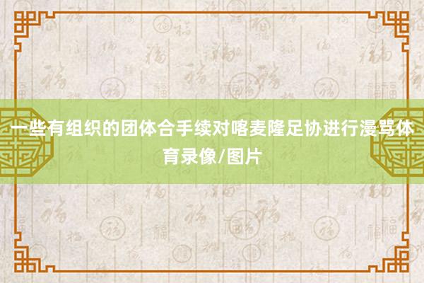 一些有组织的团体合手续对喀麦隆足协进行漫骂体育录像/图片