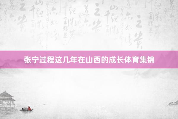张宁过程这几年在山西的成长体育集锦
