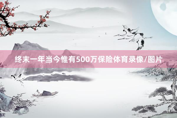 终末一年当今惟有500万保险体育录像/图片