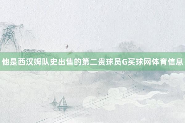 他是西汉姆队史出售的第二贵球员G买球网体育信息