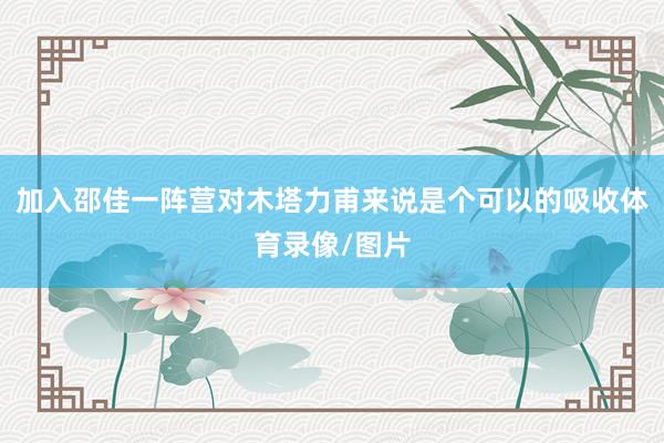 加入邵佳一阵营对木塔力甫来说是个可以的吸收体育录像/图片