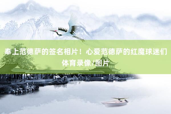 奉上范德萨的签名相片！心爱范德萨的红魔球迷们体育录像/图片