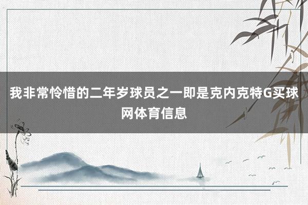 我非常怜惜的二年岁球员之一即是克内克特G买球网体育信息