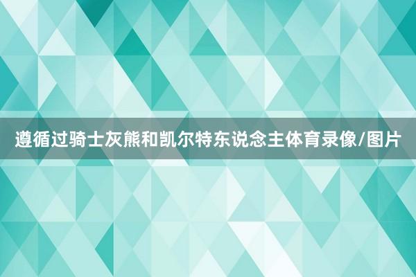 遵循过骑士灰熊和凯尔特东说念主体育录像/图片