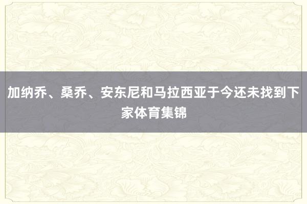 加纳乔、桑乔、安东尼和马拉西亚于今还未找到下家体育集锦