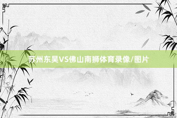 苏州东吴VS佛山南狮体育录像/图片