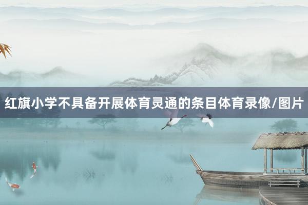 红旗小学不具备开展体育灵通的条目体育录像/图片