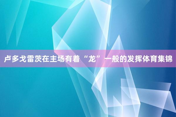 卢多戈雷茨在主场有着 “龙” 一般的发挥体育集锦