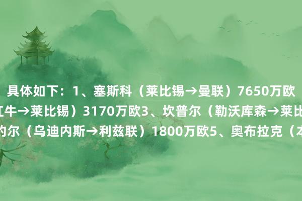 具体如下：1、塞斯科（莱比锡→曼联）7650万欧2、塞斯科（萨尔茨堡红牛→莱比锡）3170万欧3、坎普尔（勒沃库森→莱比锡）2000万欧4、比约尔（乌迪内斯→利兹联）1800万欧5、奥布拉克（本菲卡→马竞）1600万欧6、汉达诺维奇（乌迪内斯→国米）1500万欧7、扎霍维奇（波尔图→奥林匹亚科斯）1350万欧8、坎普尔（萨尔茨堡红牛→多特）1200万欧9、坎普尔（多特→勒沃库森）1100万欧10、