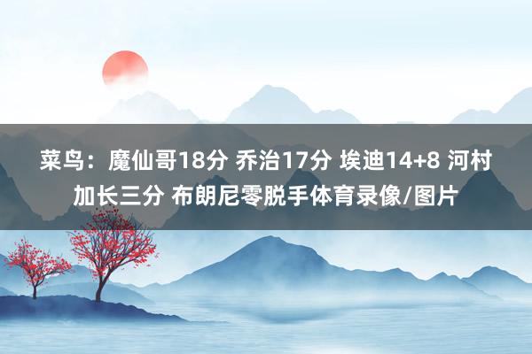 菜鸟：魔仙哥18分 乔治17分 埃迪14+8 河村加长三分 布朗尼零脱手体育录像/图片