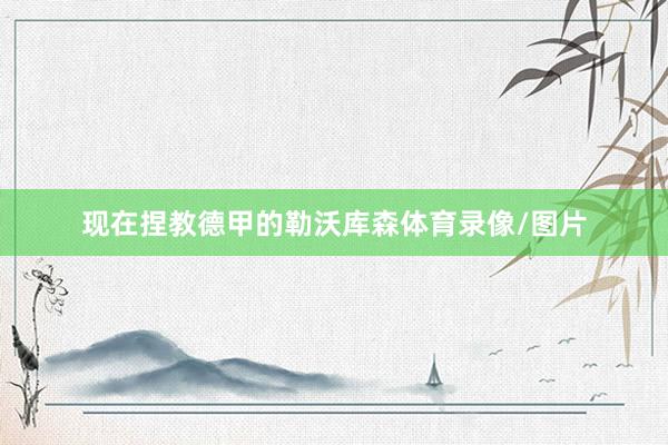 现在捏教德甲的勒沃库森体育录像/图片