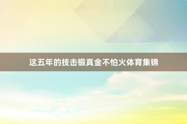 这五年的技击锻真金不怕火体育集锦