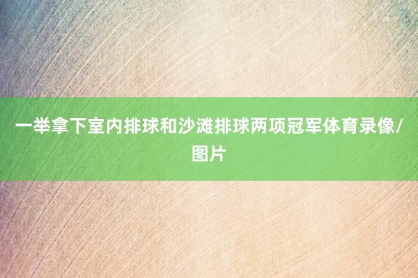 一举拿下室内排球和沙滩排球两项冠军体育录像/图片