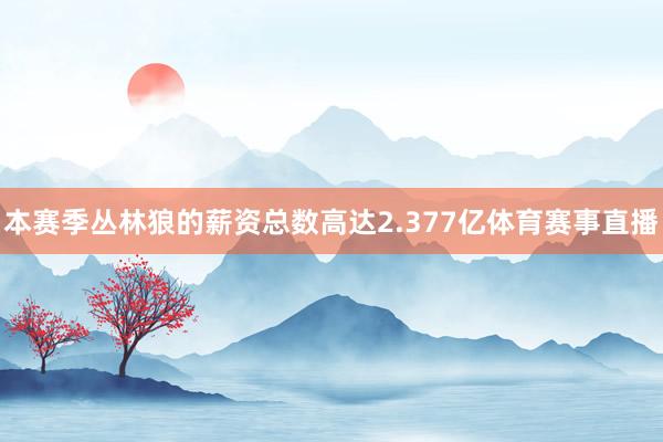 本赛季丛林狼的薪资总数高达2.377亿体育赛事直播