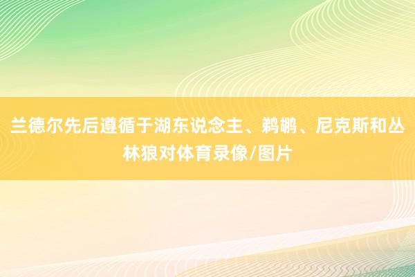 兰德尔先后遵循于湖东说念主、鹈鹕、尼克斯和丛林狼对体育录像/图片
