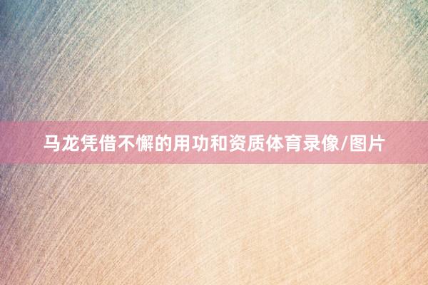 马龙凭借不懈的用功和资质体育录像/图片