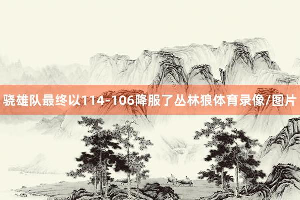 骁雄队最终以114-106降服了丛林狼体育录像/图片