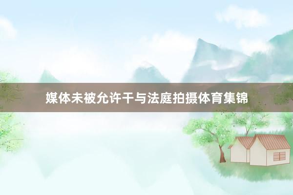 媒体未被允许干与法庭拍摄体育集锦