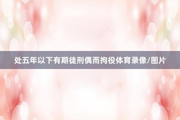 处五年以下有期徒刑偶而拘役体育录像/图片