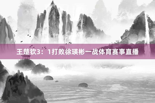 王楚钦3：1打败徐瑛彬一战体育赛事直播