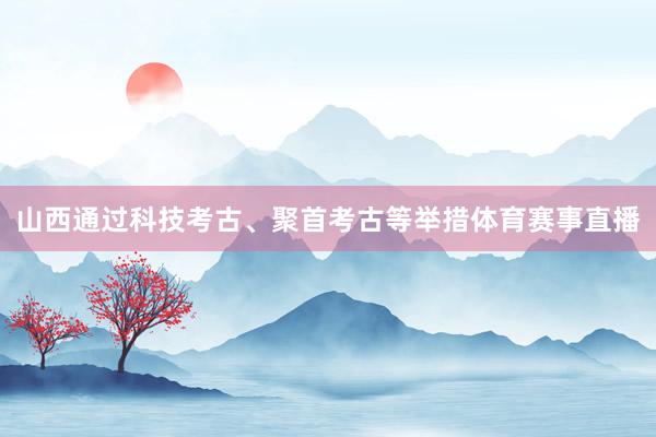 山西通过科技考古、聚首考古等举措体育赛事直播