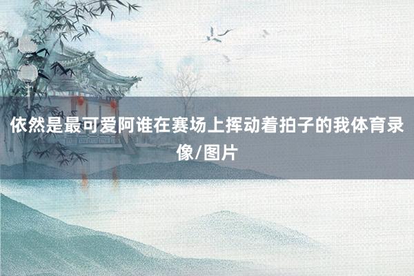 依然是最可爱阿谁在赛场上挥动着拍子的我体育录像/图片