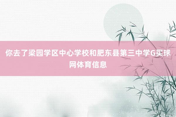 你去了梁园学区中心学校和肥东县第三中学G买球网体育信息