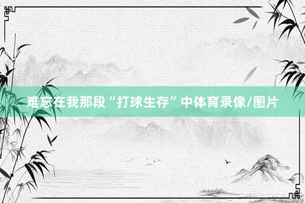 难忘在我那段“打球生存”中体育录像/图片