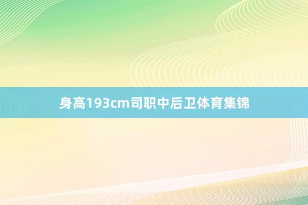 身高193cm司职中后卫体育集锦