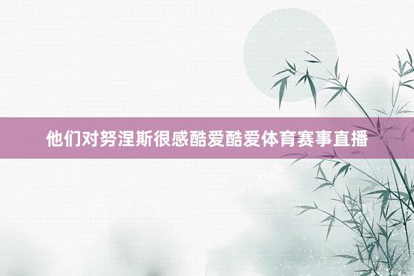 他们对努涅斯很感酷爱酷爱体育赛事直播