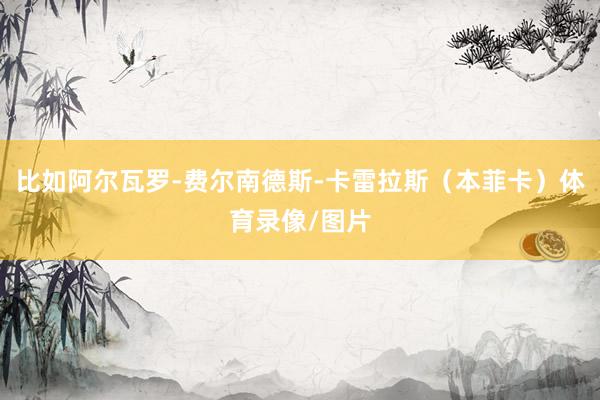 比如阿尔瓦罗-费尔南德斯-卡雷拉斯（本菲卡）体育录像/图片